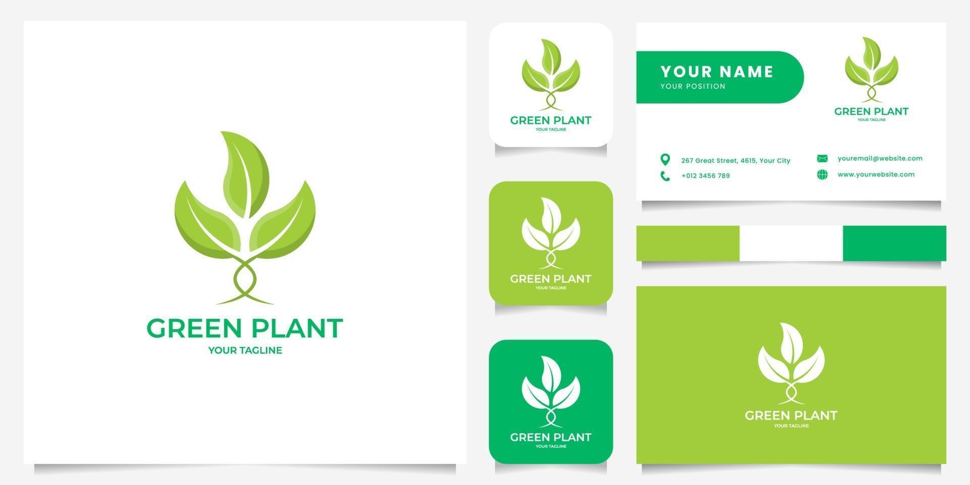 Green Sprout Logo with Business Card Template vector