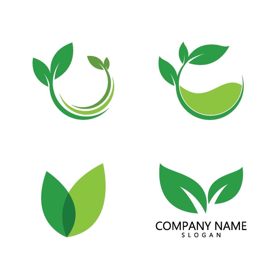 logo de hoja verde vector