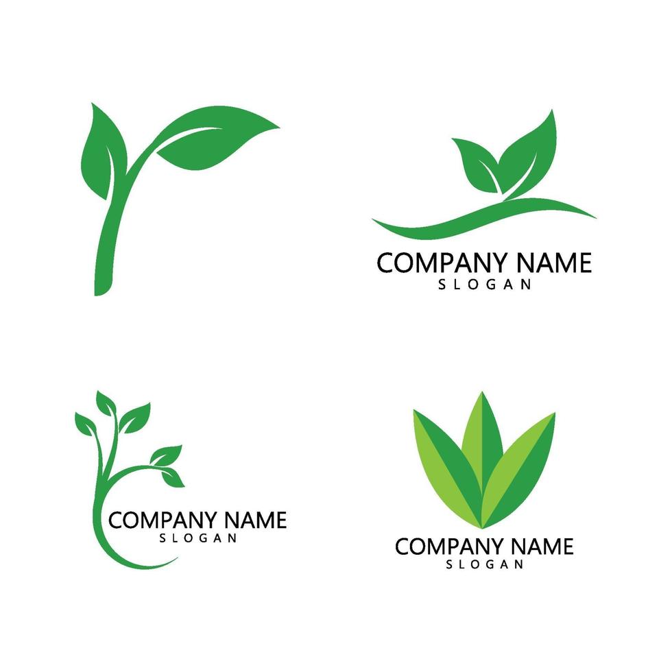 Green leaf logo vector