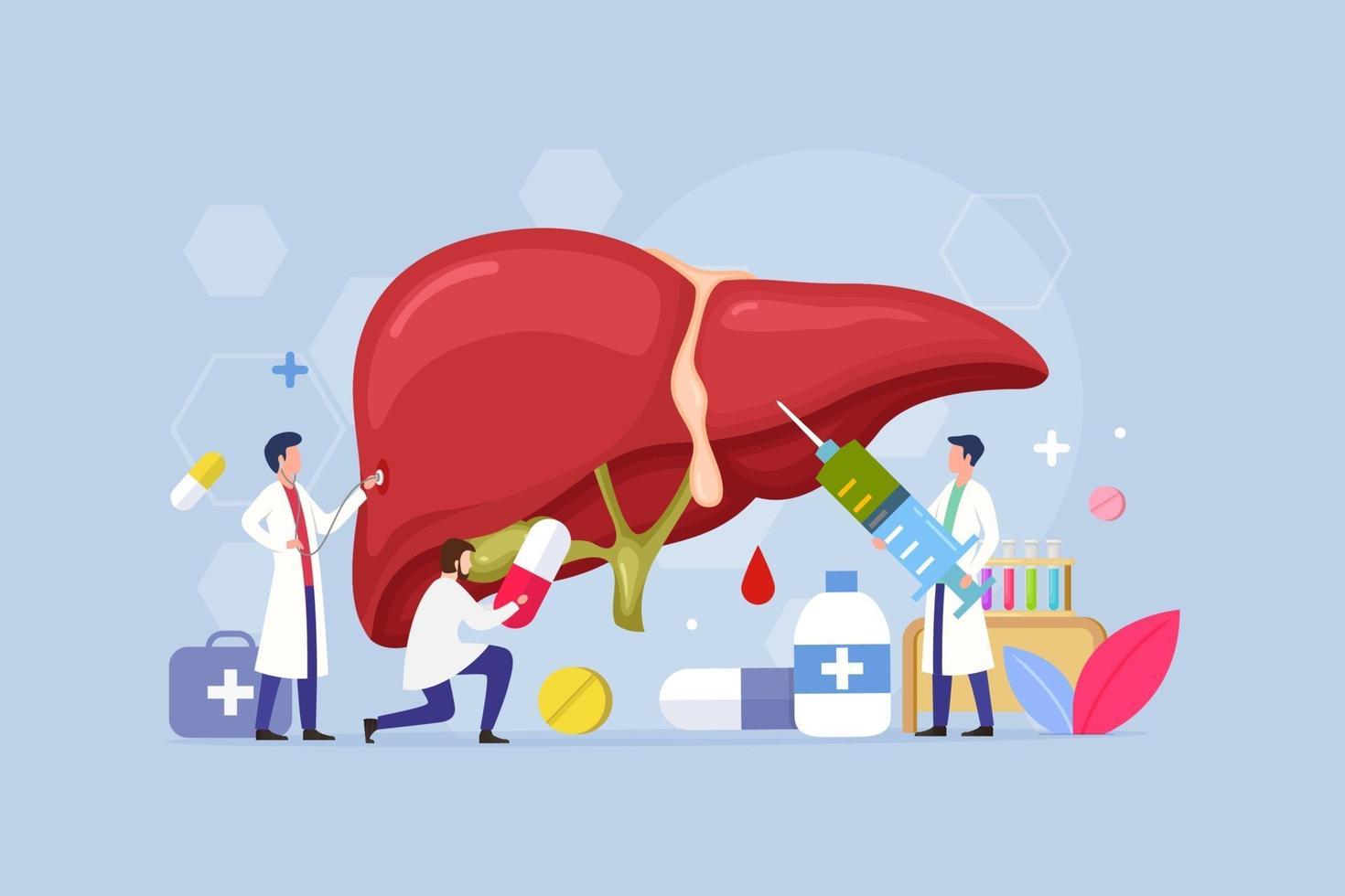 Liver Disease Treatment modern process design concept vector