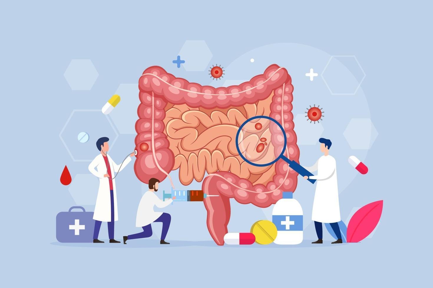 concepto de diseño de proceso moderno de tratamiento intestinal vector