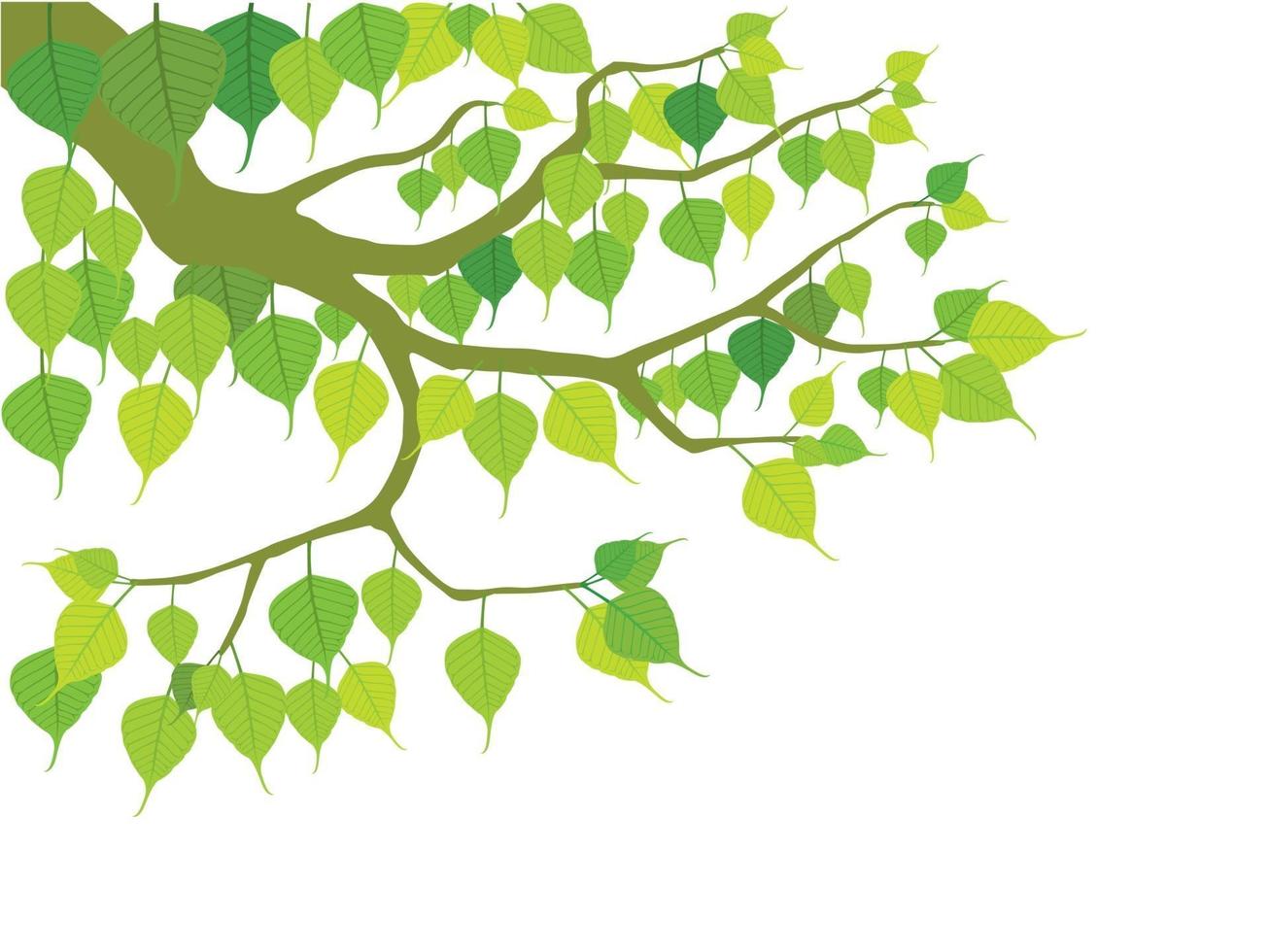 Buddhist Tree on illustration graphic vector