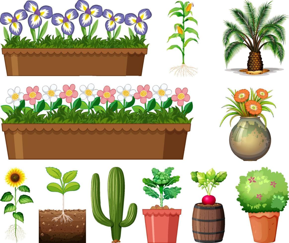 Conjunto de diferentes plantas en macetas aislado sobre fondo blanco. vector