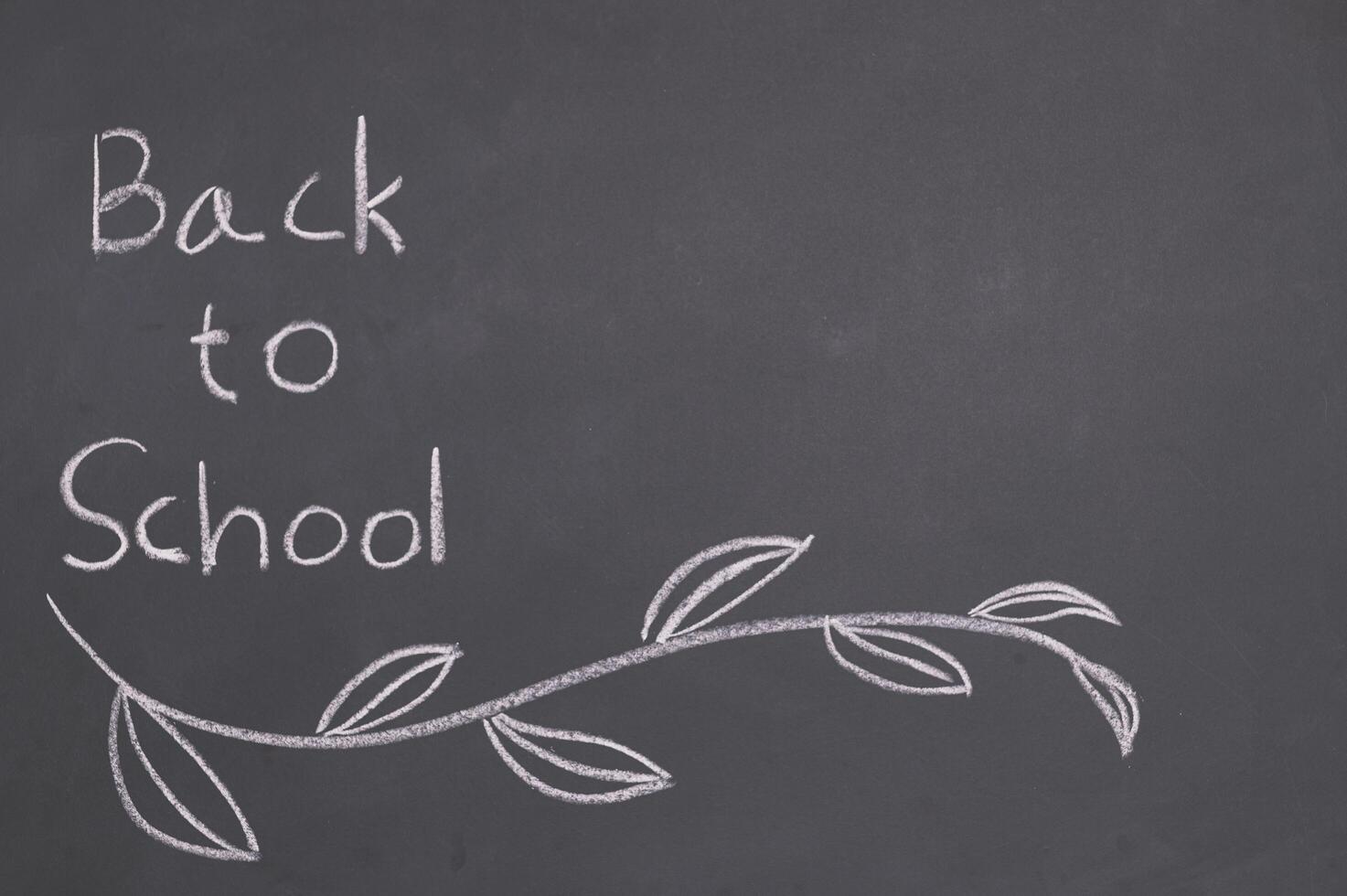 Back to school and education concept blackboard photo