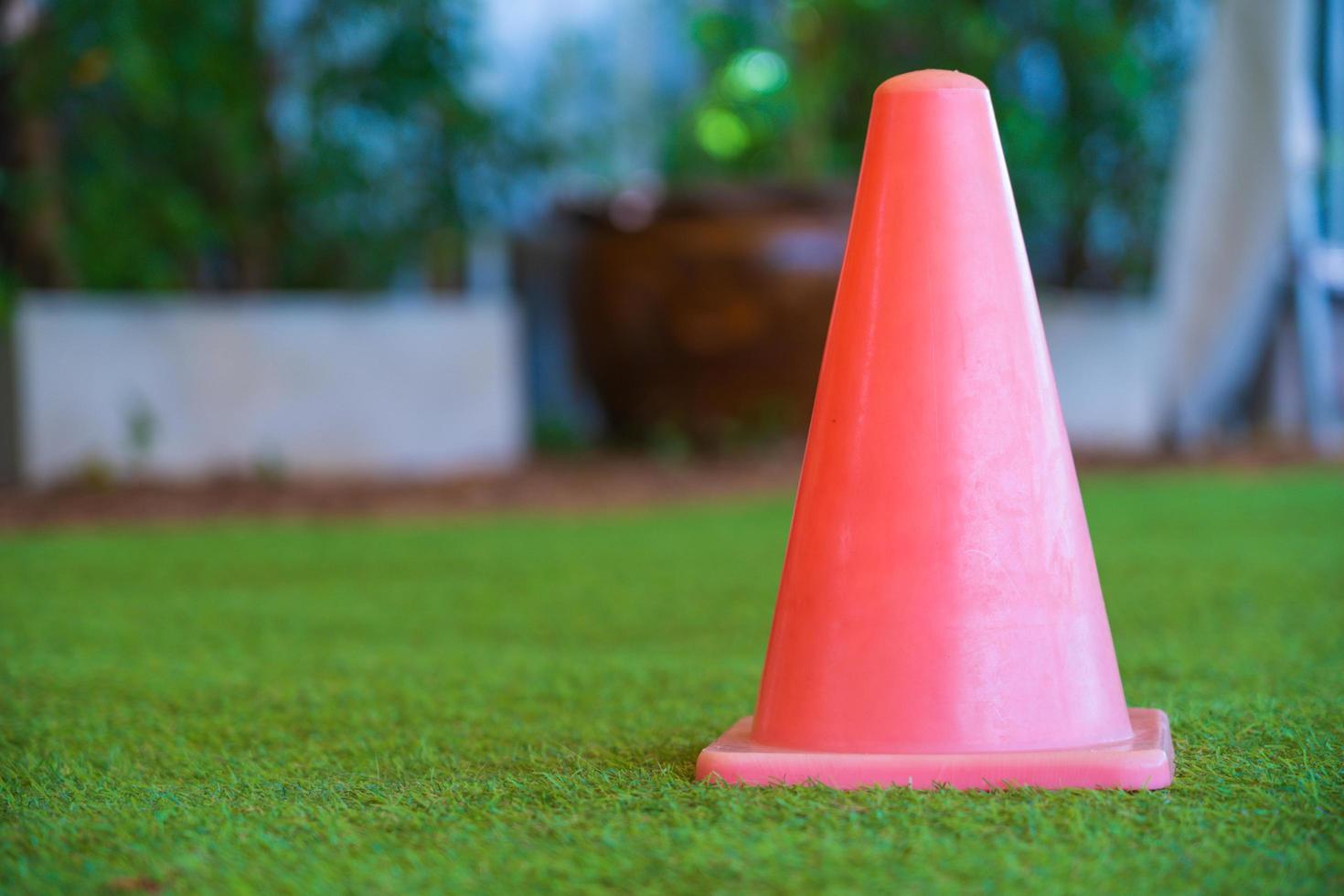 Small pink traffic cone photo