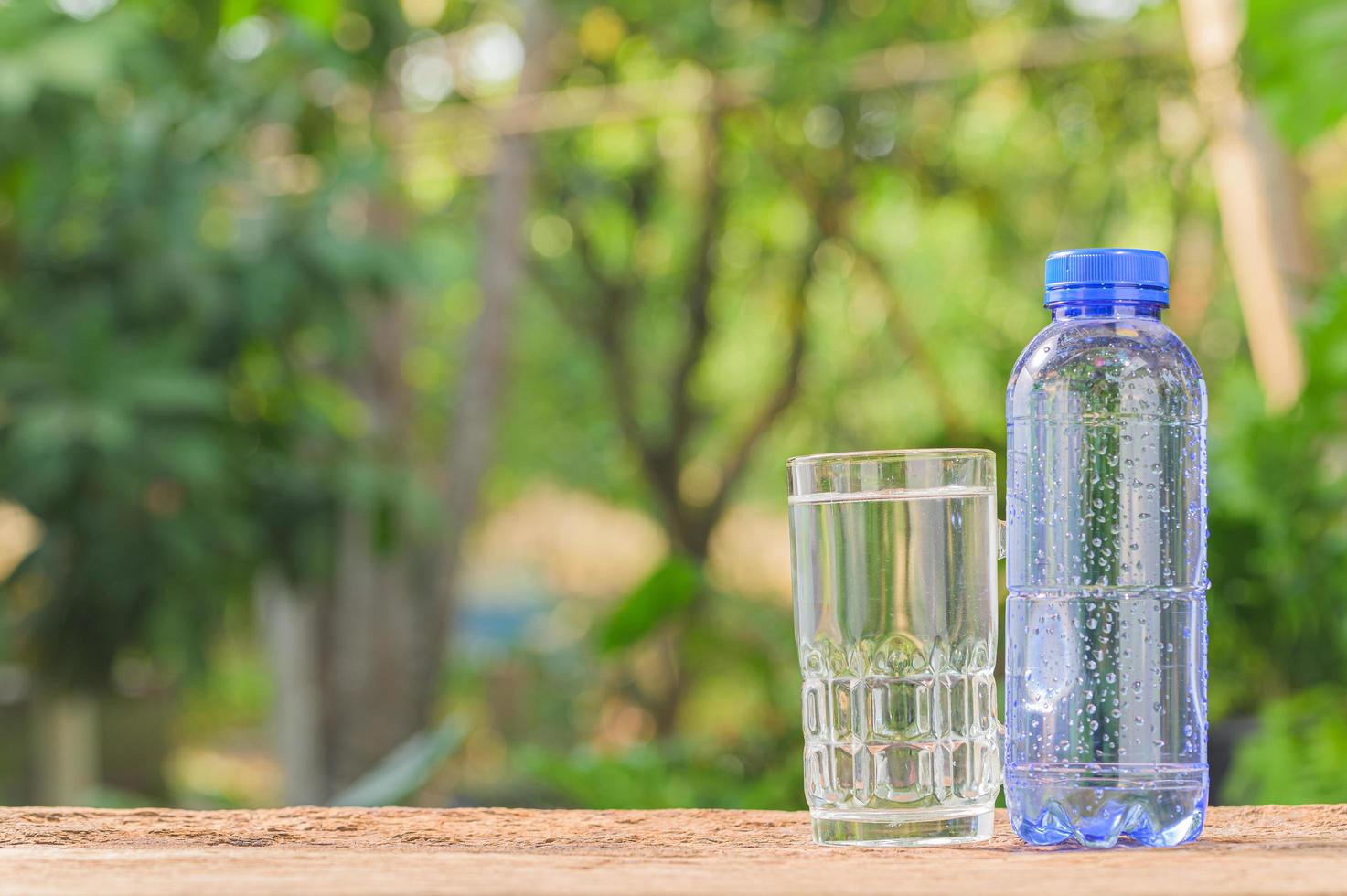 Bottle and a glass of drinking water on nature background photo