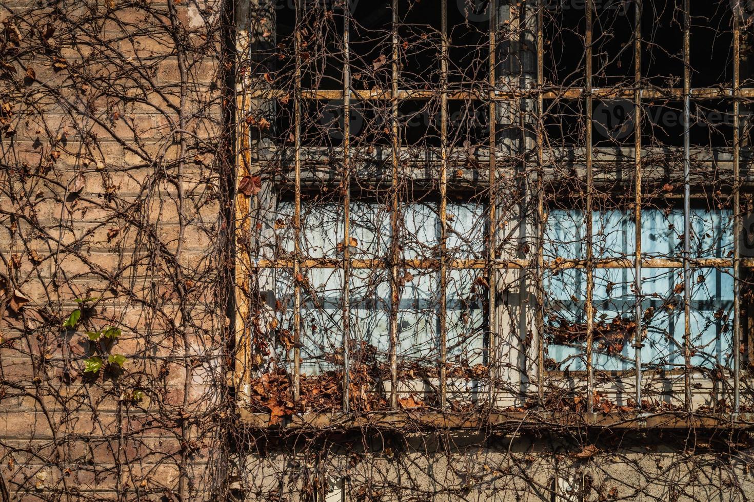 Ventana enrejada envejecida de una antigua fábrica foto