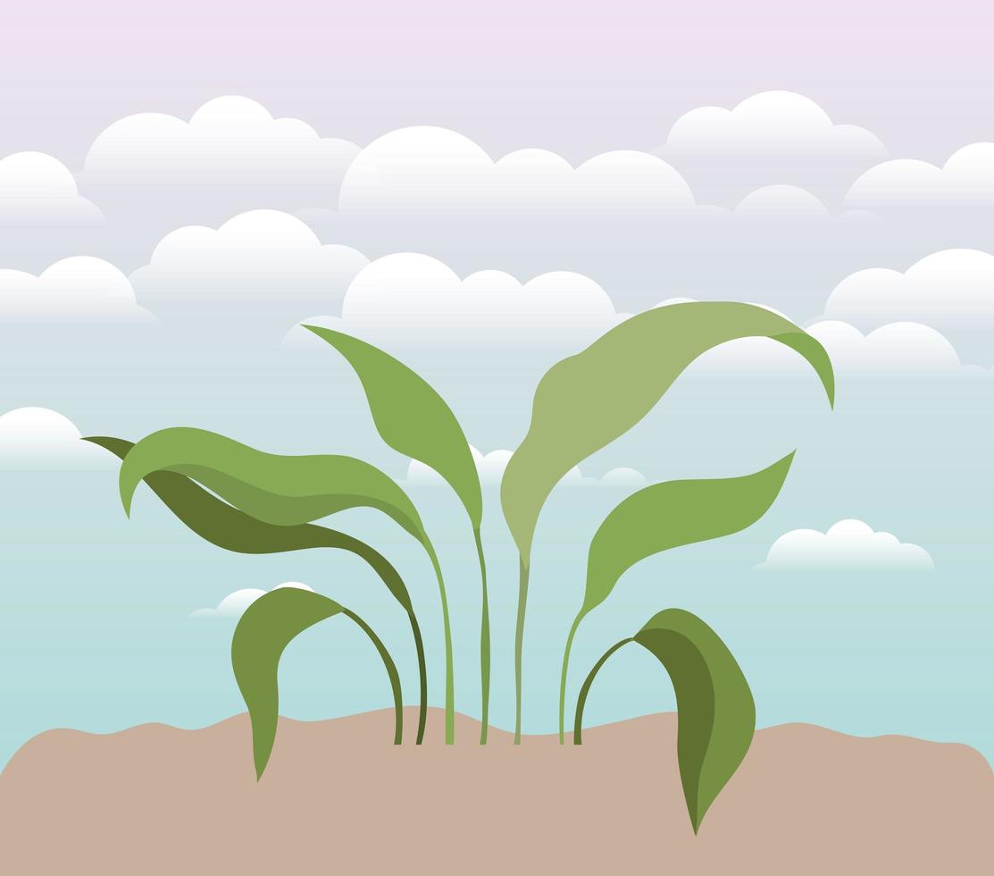 plant on a garden scene vector