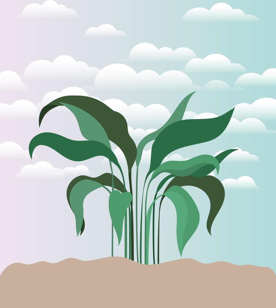 plant on a garden scene vector