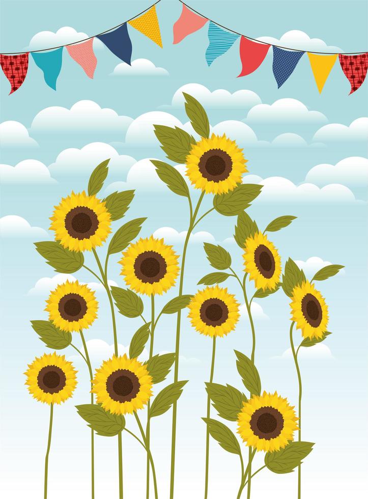 beautiful sunflowers garden and garlands scene vector