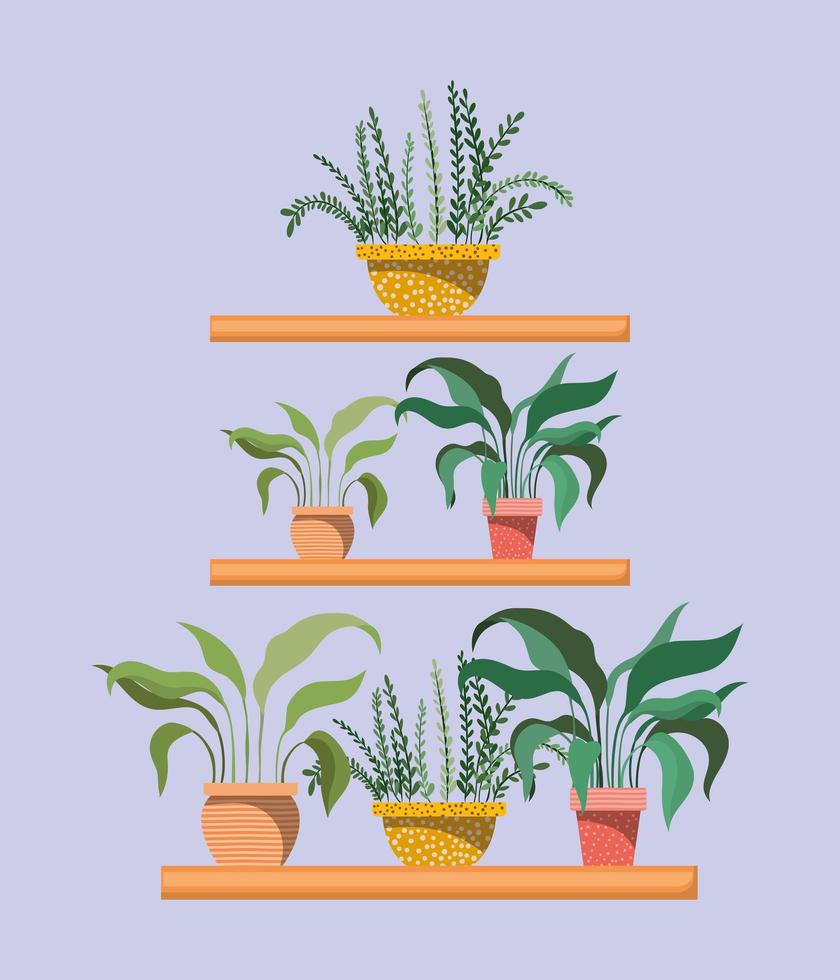 set of houseplants in shelfs vector