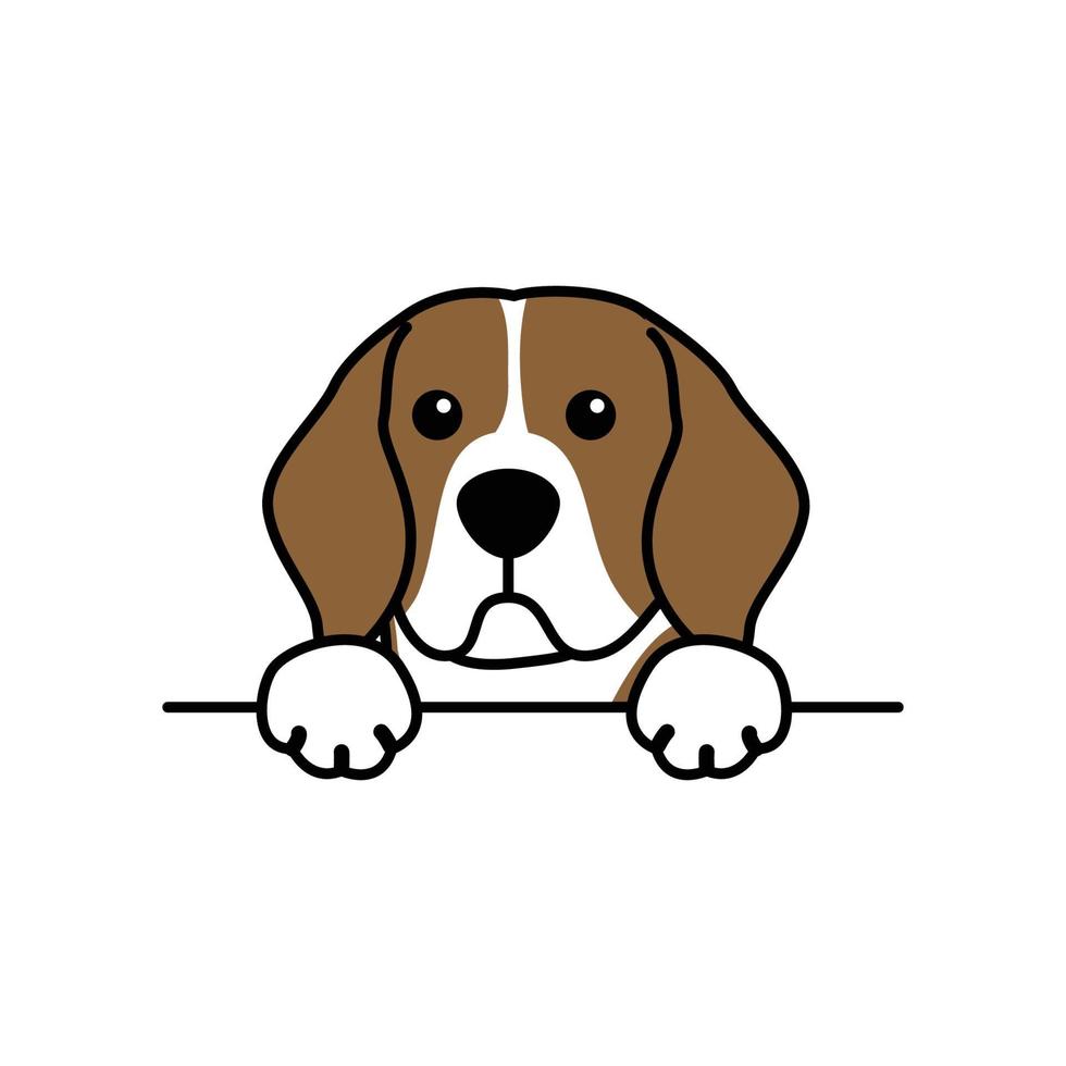 Lindo perro beagle con patas sobre la pared, caricatura de cara de perro, ilustración vectorial vector