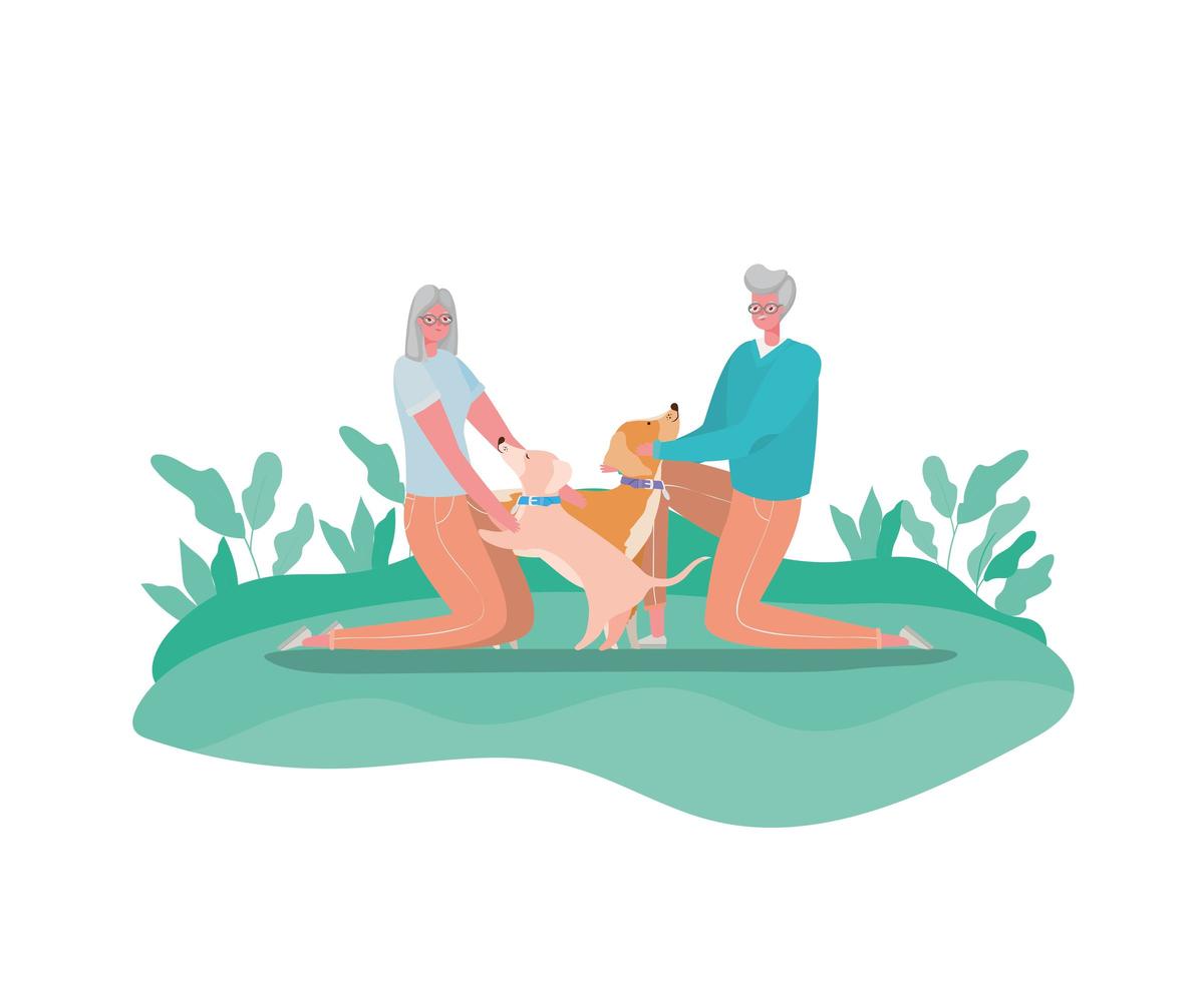 Senior citizen couple walking dogs vector