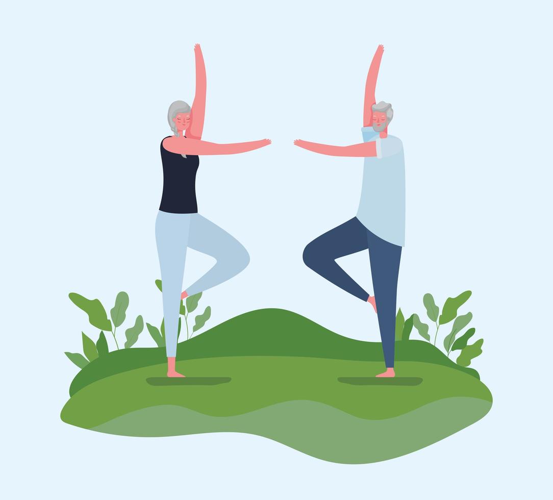 Pareja de ancianos haciendo yoga en el diseño vectorial del parque vector