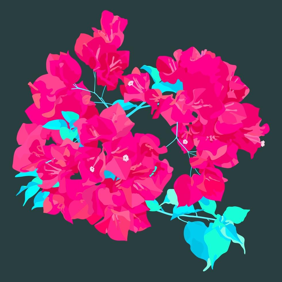 Vector flat style, super neon pink bougainvillea paper flower with leaves, tropical fresh flowers illustration