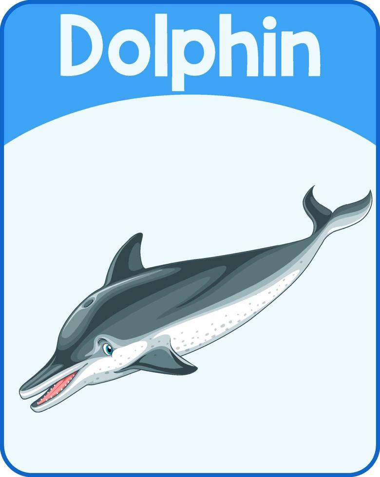 tarjeta educativa de palabras en inglés de delfines vector