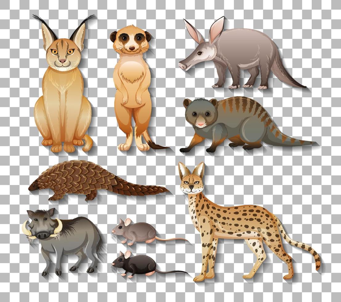 Conjunto de animales africanos salvajes aislados vector