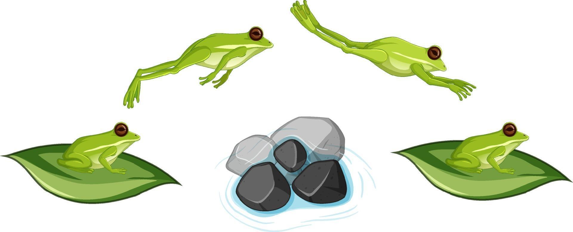 Movement of frog jumping on white background vector