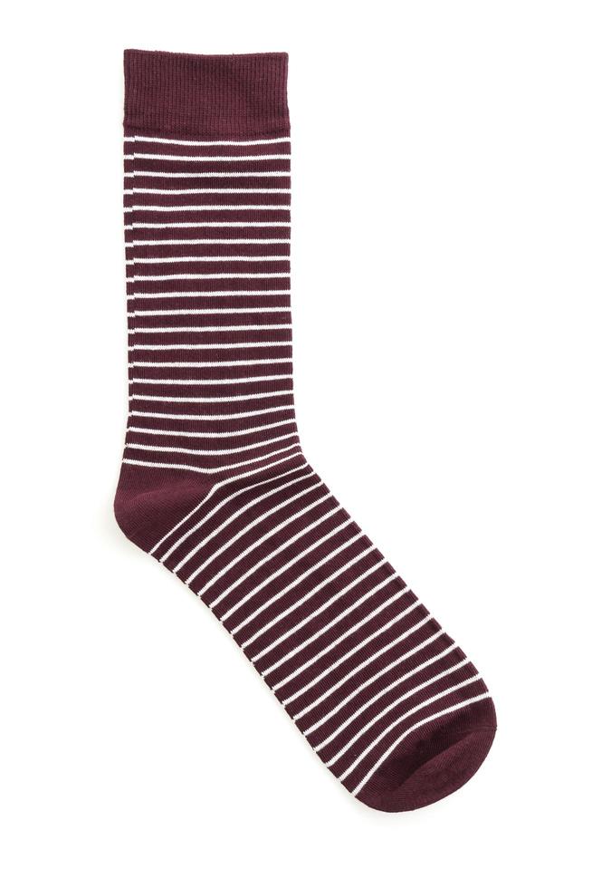 Socks on white background photo