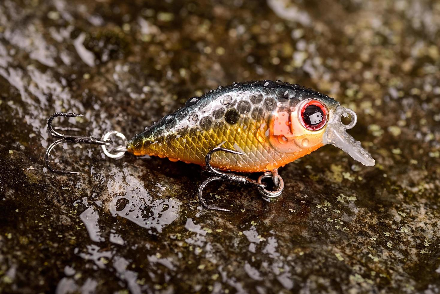 Fishing lure wobbler on a wet stone with moss photo