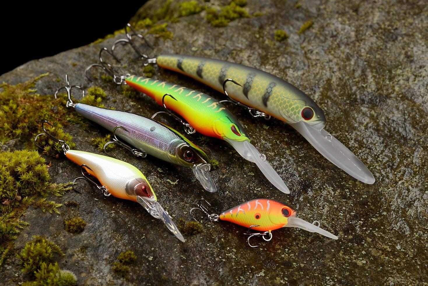 Group of fishing lures wobblers on a wet stone with moss photo