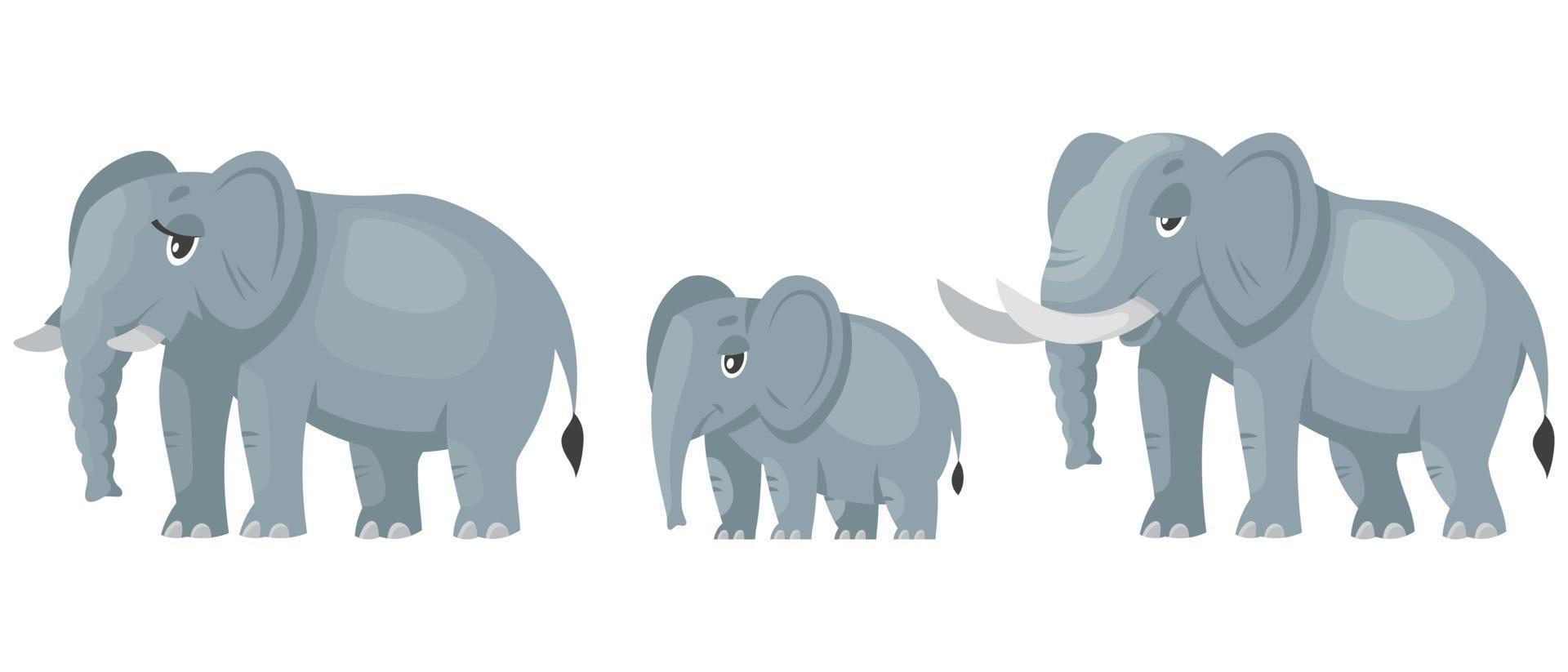 familia de elefantes vista de tres cuartos. vector