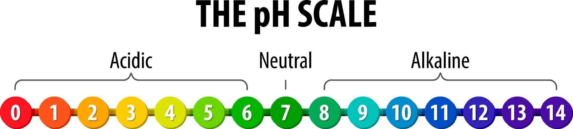 The pH Scale diagram on white background vector