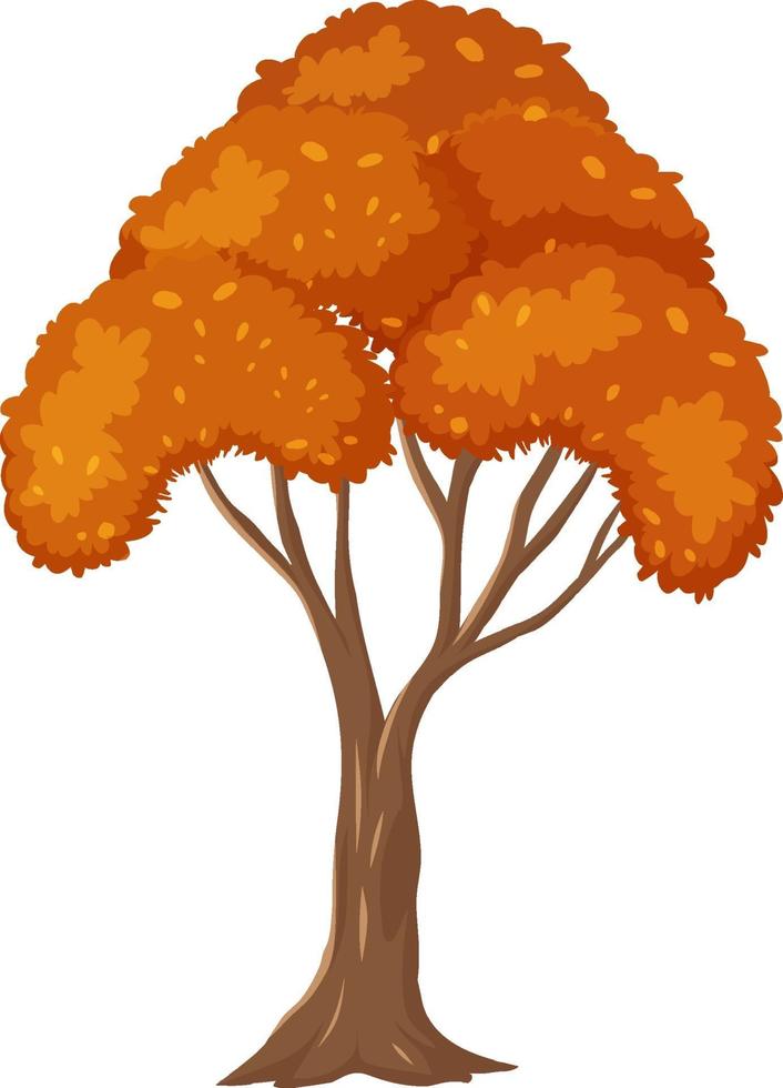 Árbol de otoño aislado sobre fondo blanco. vector