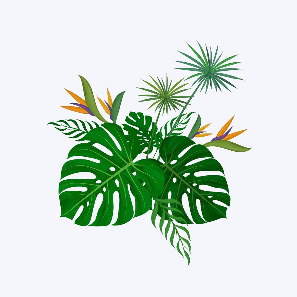 monstera leaves decorative bouquet vector