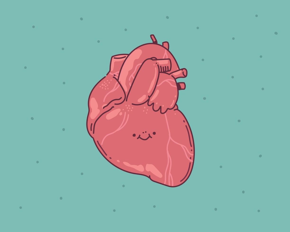 corazón humano doodle. icono de órgano médico plano de anatomía vector