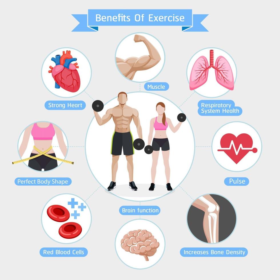 beneficios del ejercicio. diagrama de ilustraciones vectoriales. vector