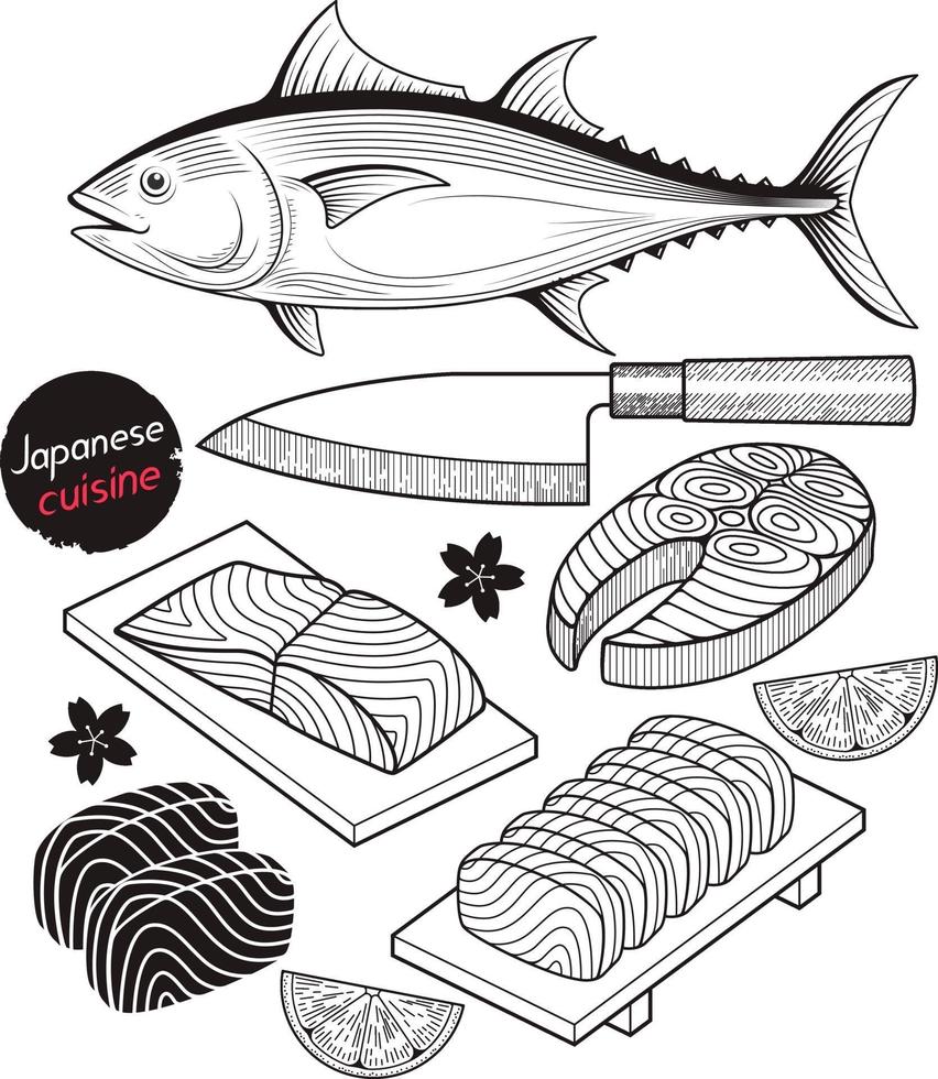 carne de pescado de salmón. Elementos de doodle de comida de Japón estilo dibujado a mano. ilustraciones vectoriales. vector