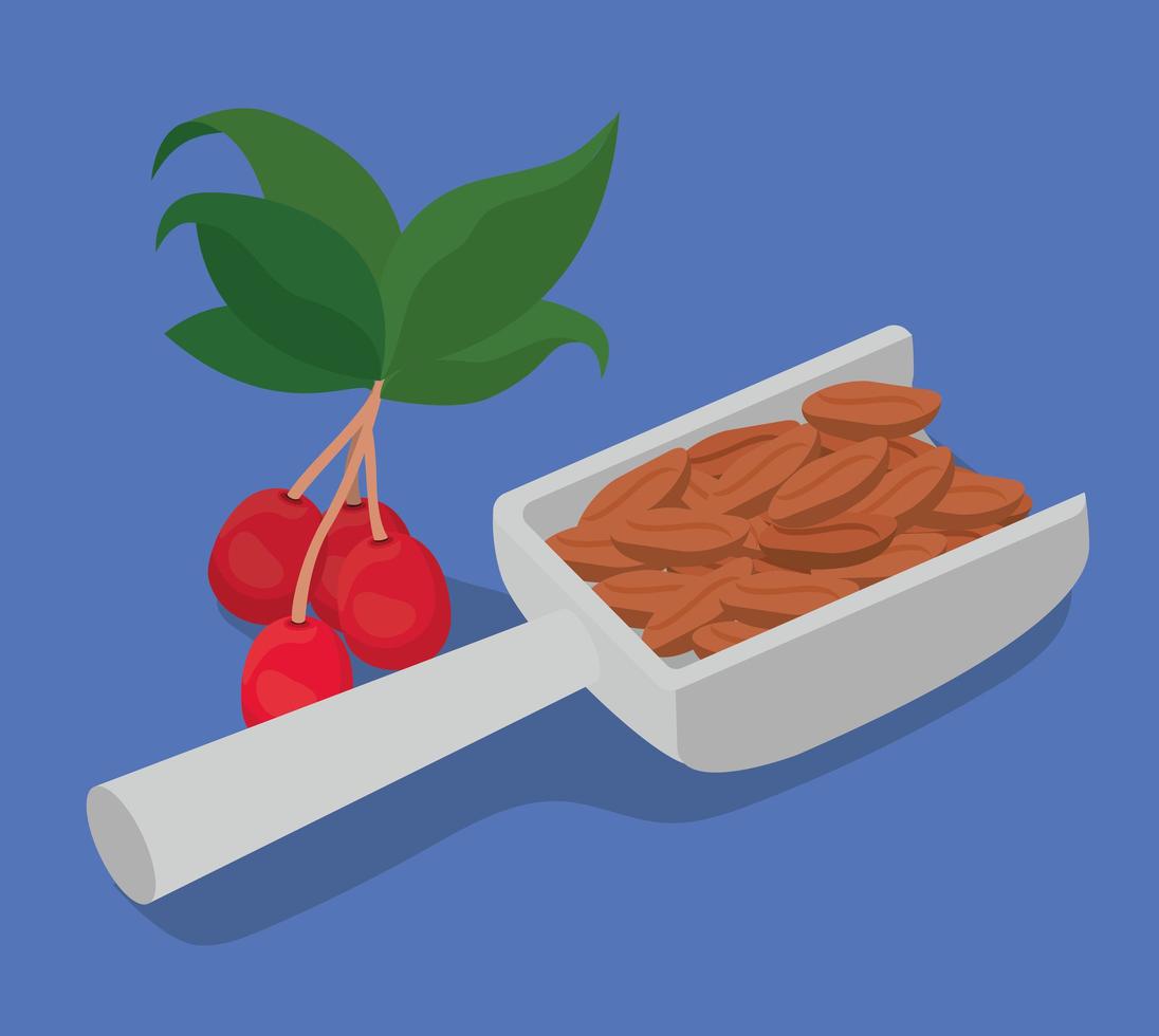 coffee beans on a spoon with berries, and leaves vector design