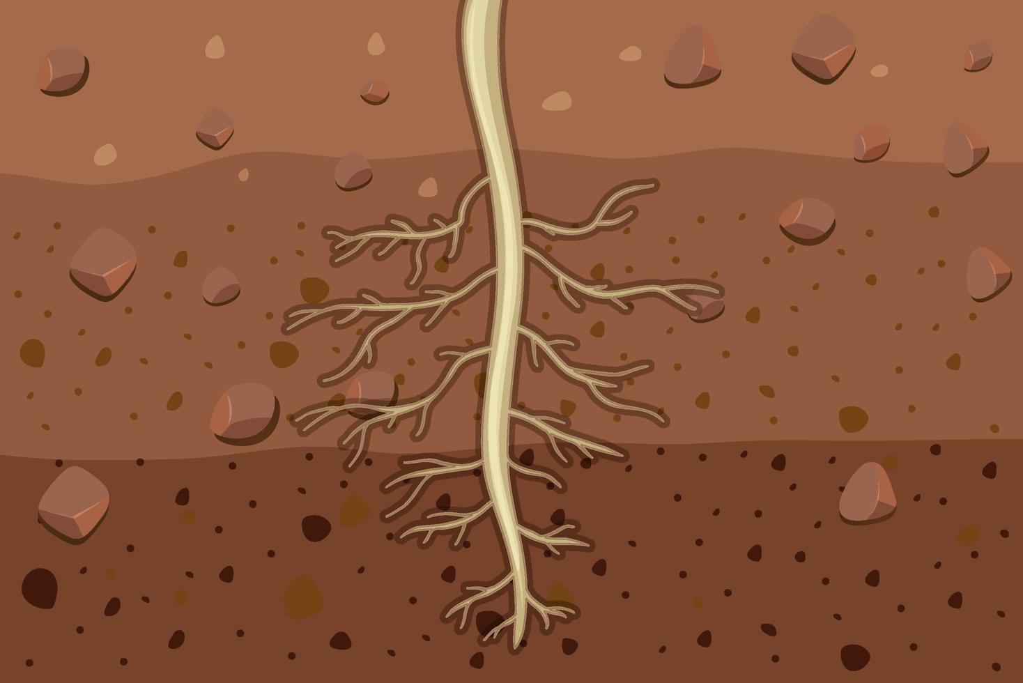 Cerca de las raíces de las plantas en el suelo. vector