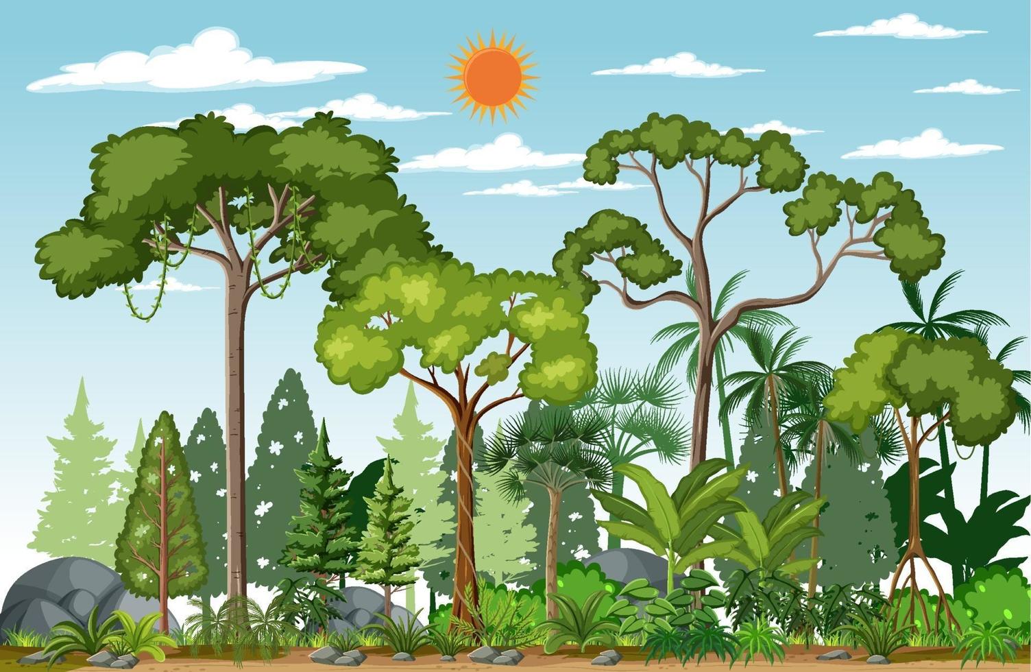 Forest scene with many trees at day time vector