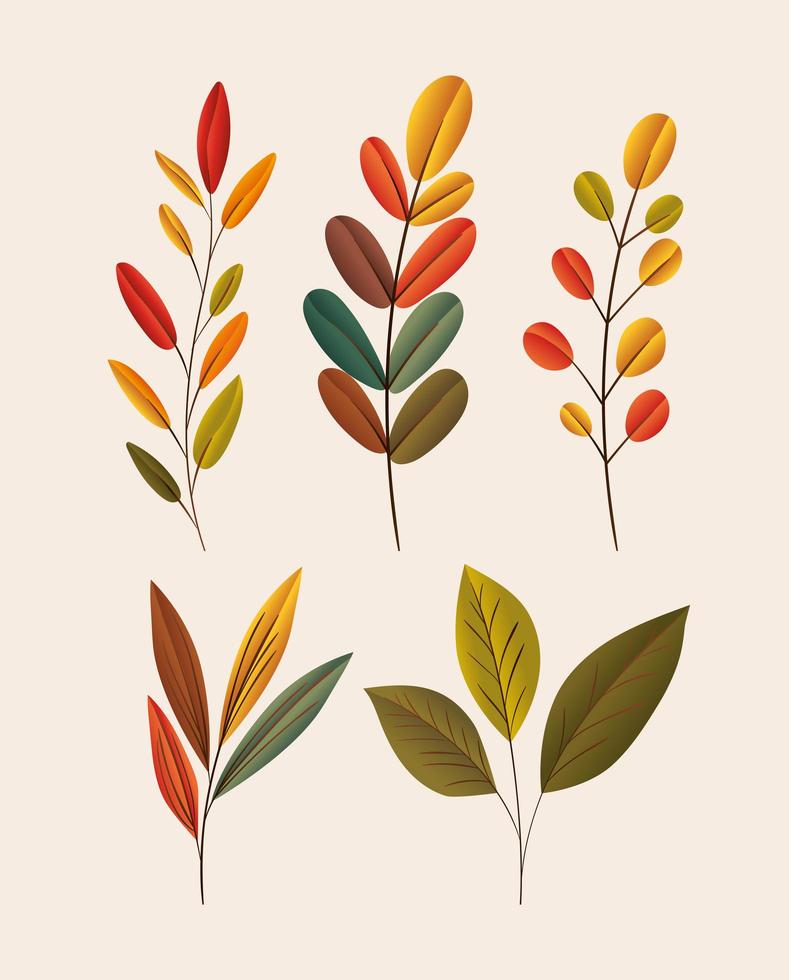 autumn leaves icon set vector