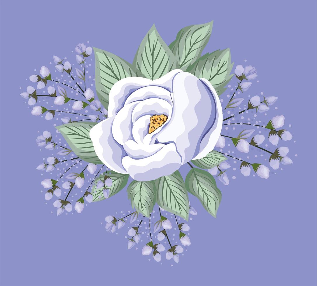 Purple rose flower with leaves painting vector design