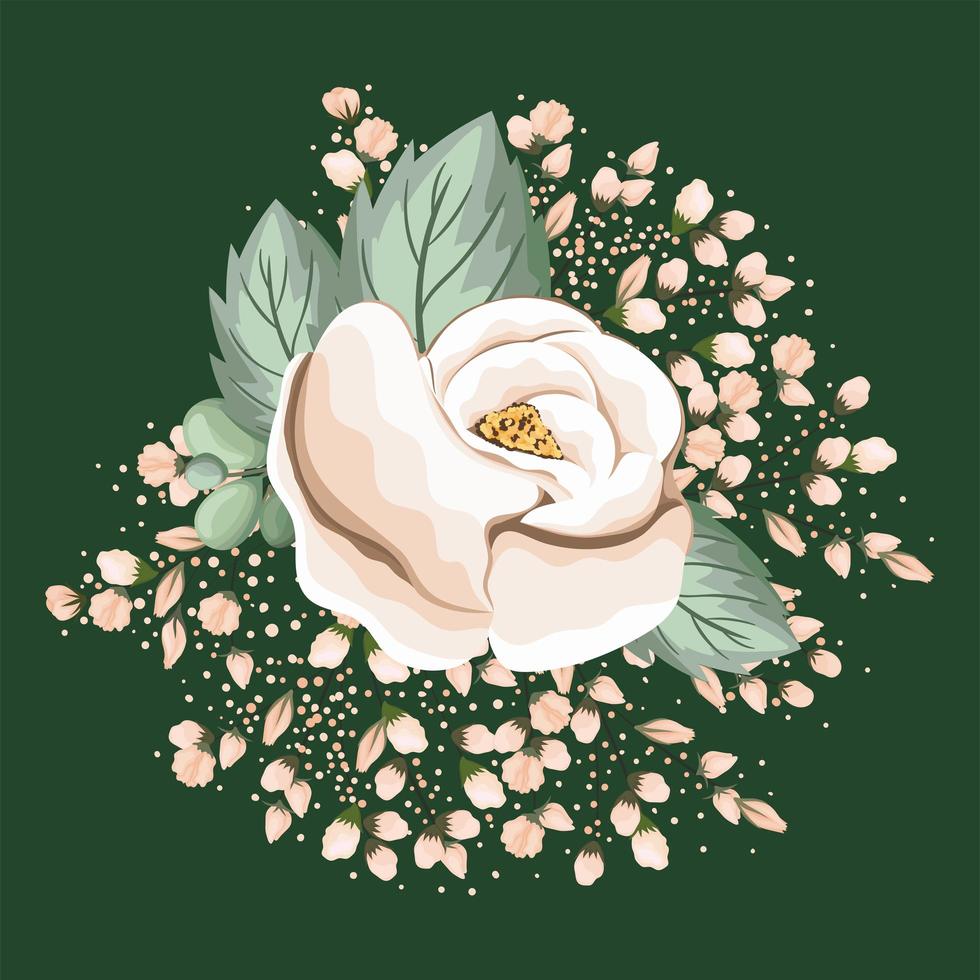 white rose flower with leaves painting vector design