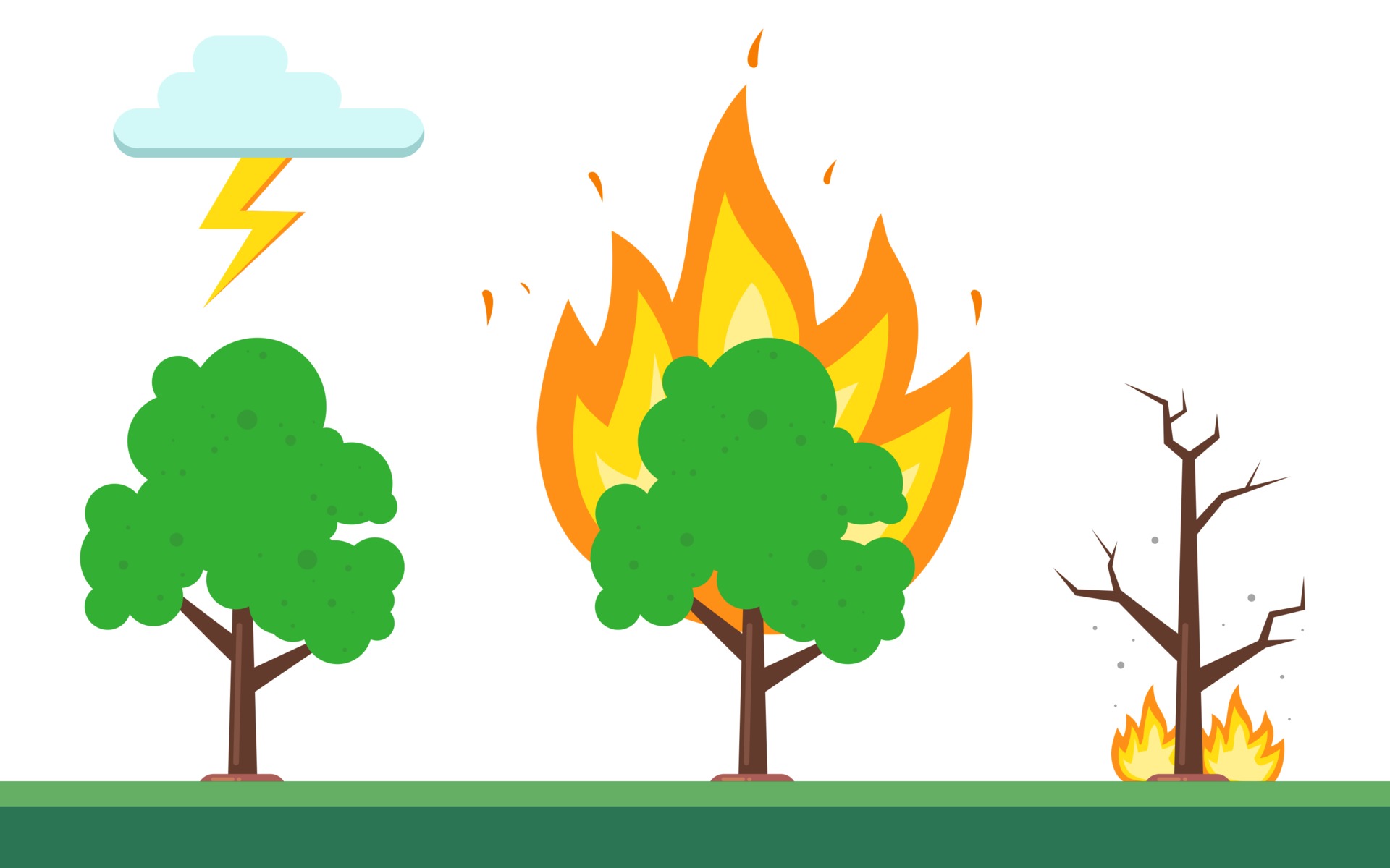 sequence of fire in the forest. the natural nature of fire. flat vector