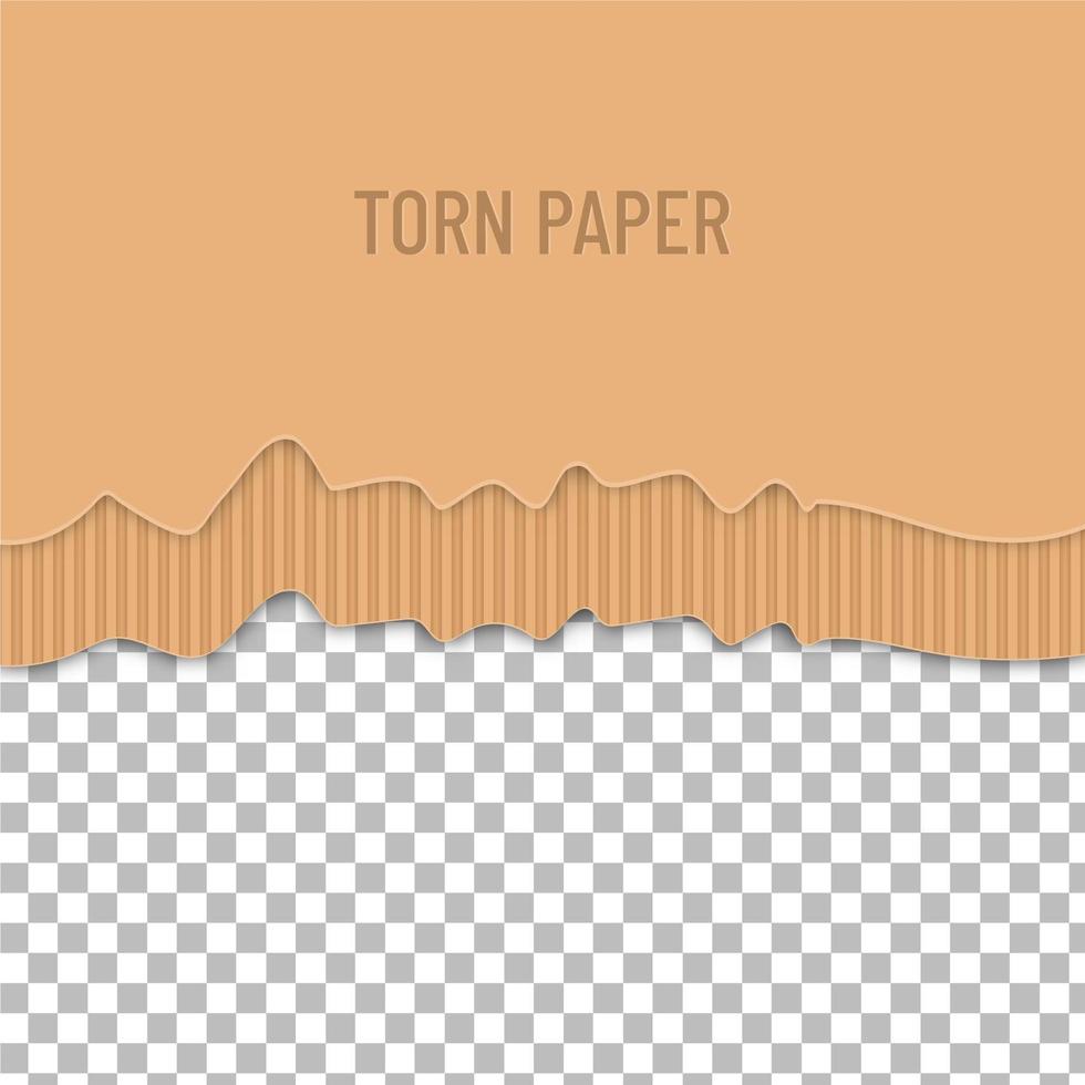 Half torn paper vector