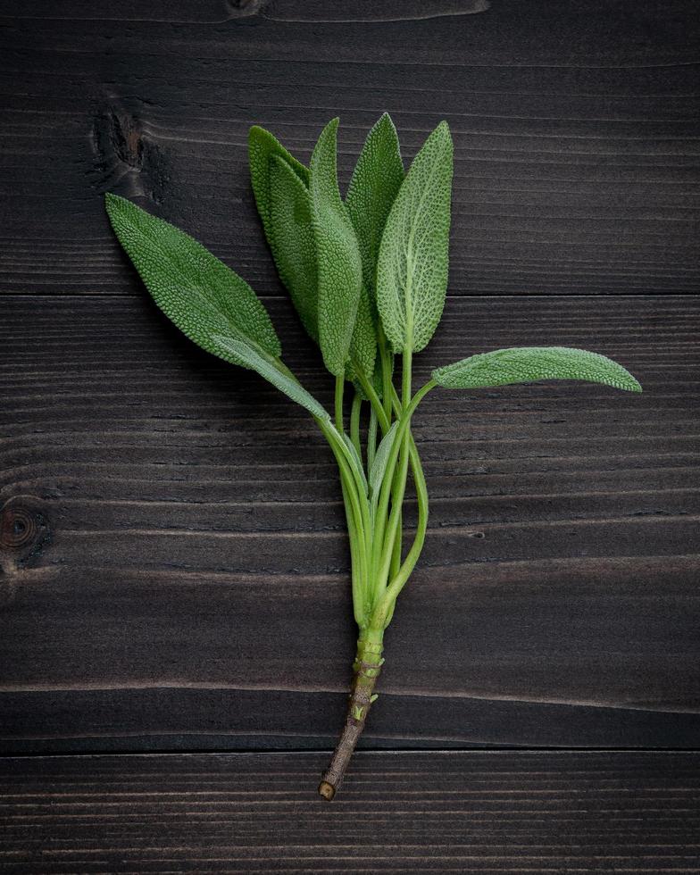Sage leaves on dark wooden background photo