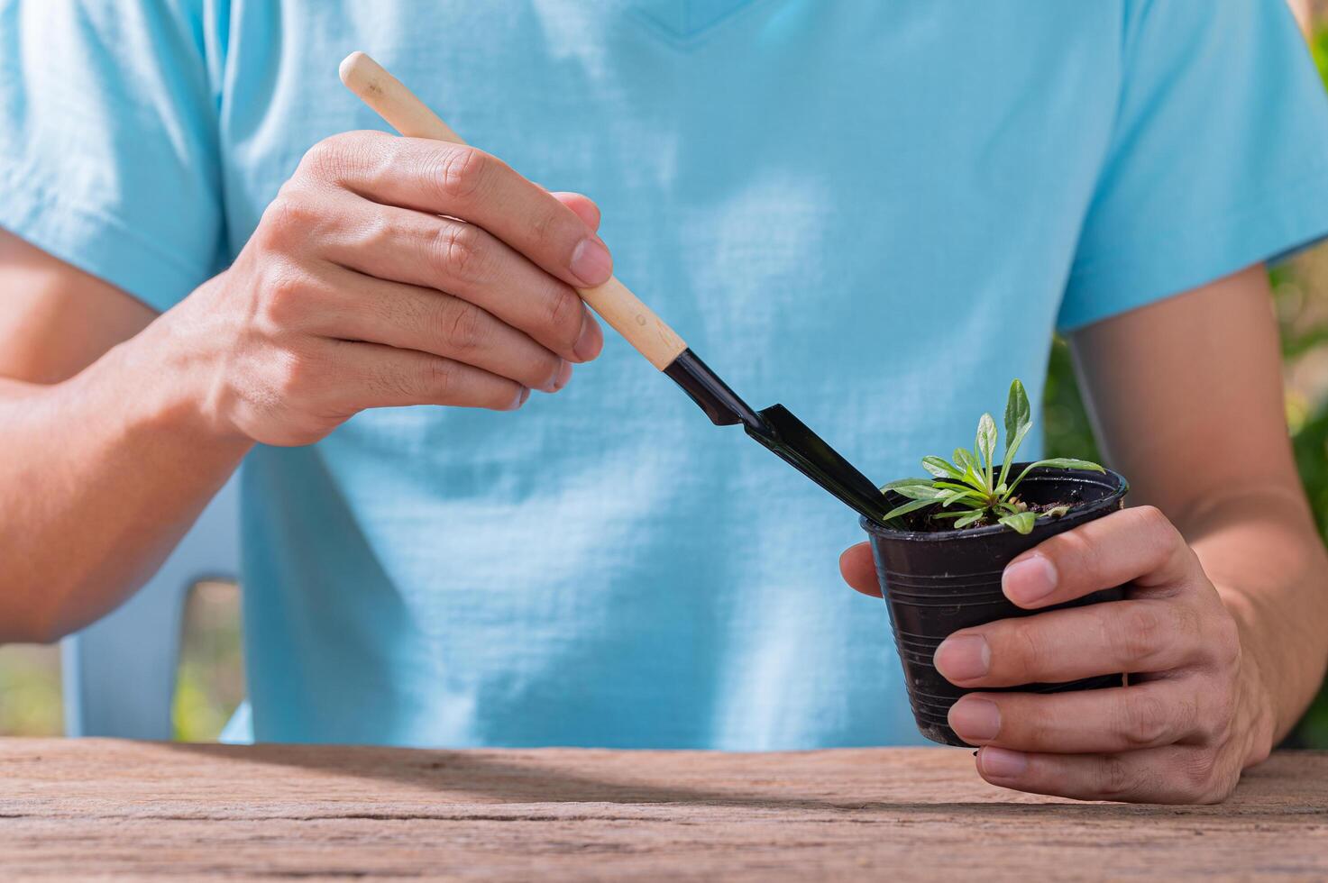 Person planting trees in pots, concept of love plants love environment photo