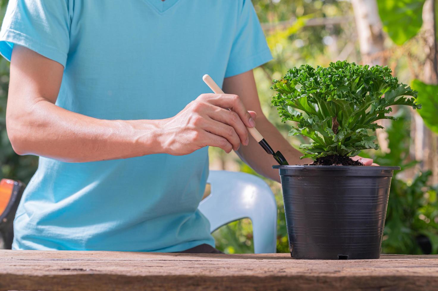 persona plantando árboles en macetas, concepto de amor, las plantas aman el medio ambiente foto