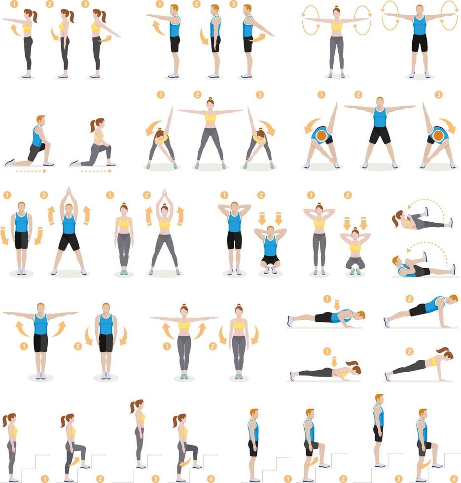 Chair yoga poses. Chair stretching exercises set. Woman workout fitness,  aerobic and exercises. Vector Illustration. 13754469 Vector Art at Vecteezy