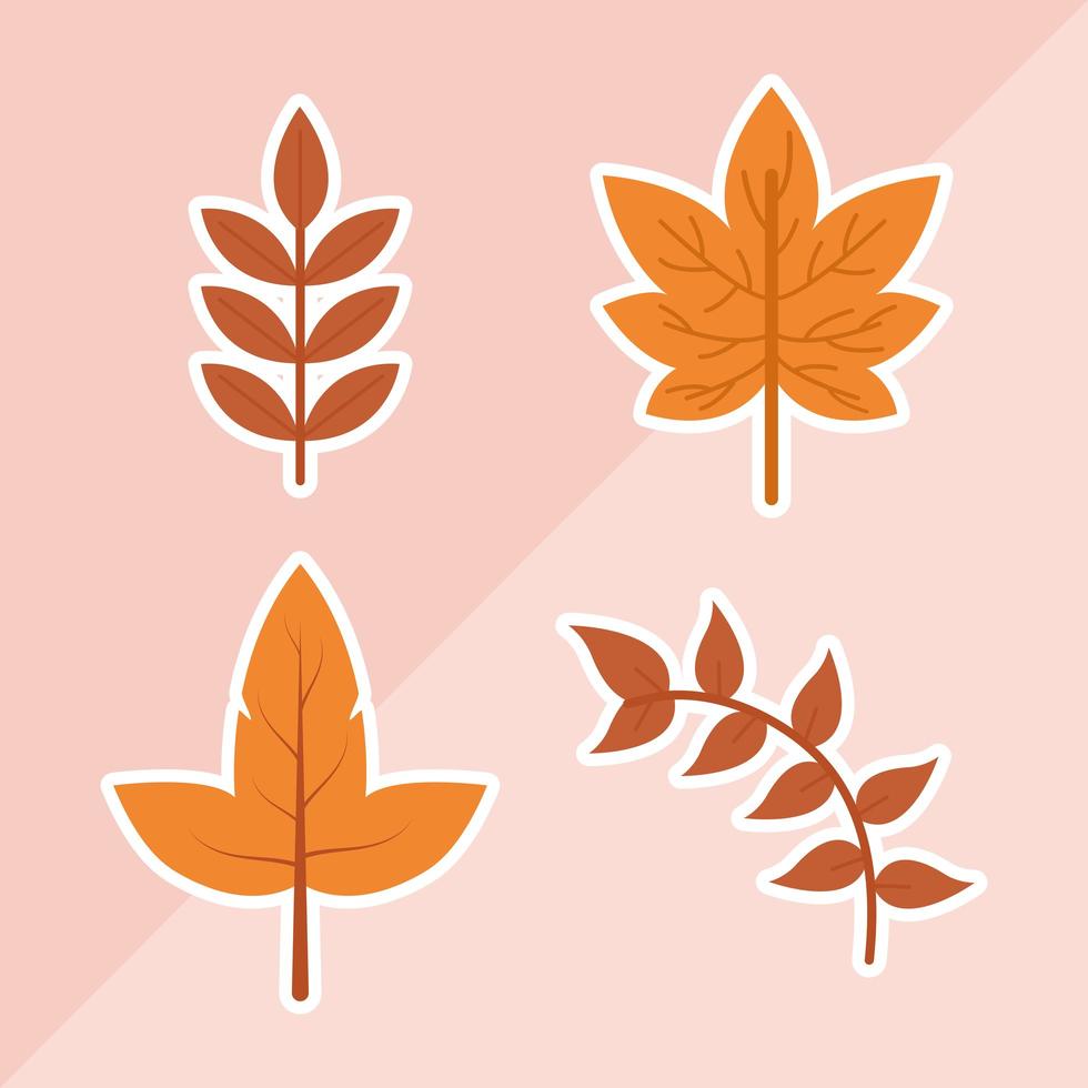 diseño de vector de conjunto de hoja de otoño
