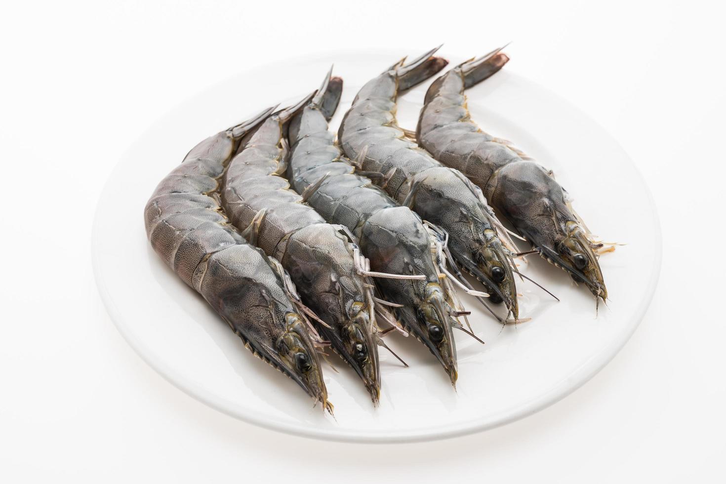 Raw fresh prawn on a white plate photo