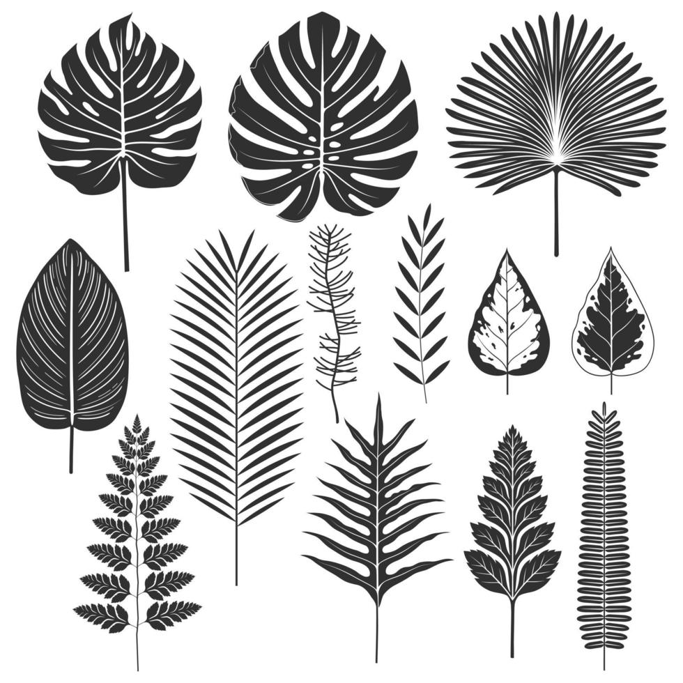Tropical leaf silhouette set vector illustrations