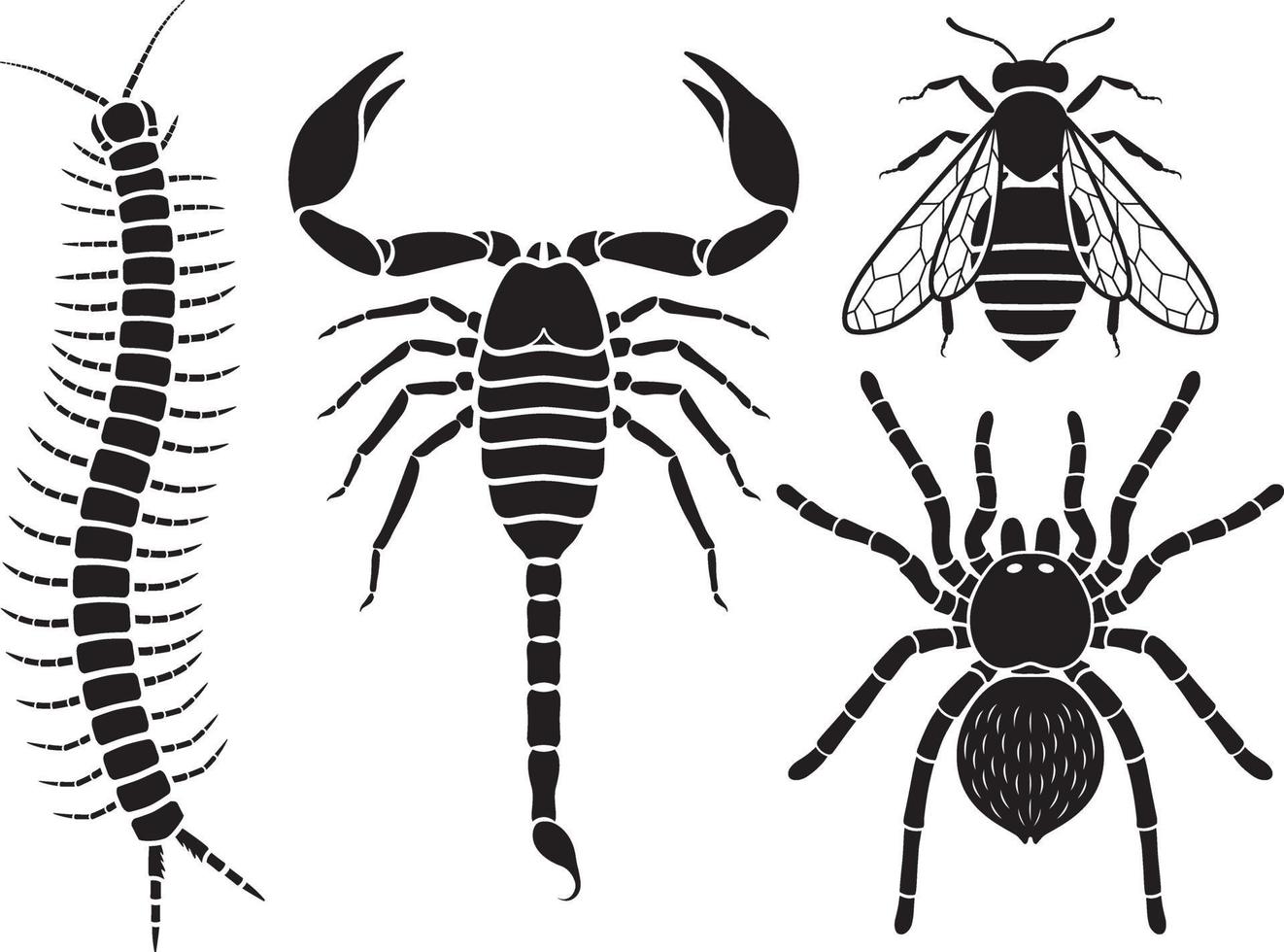 Poisonous insects icons set. Vector Illustrations.