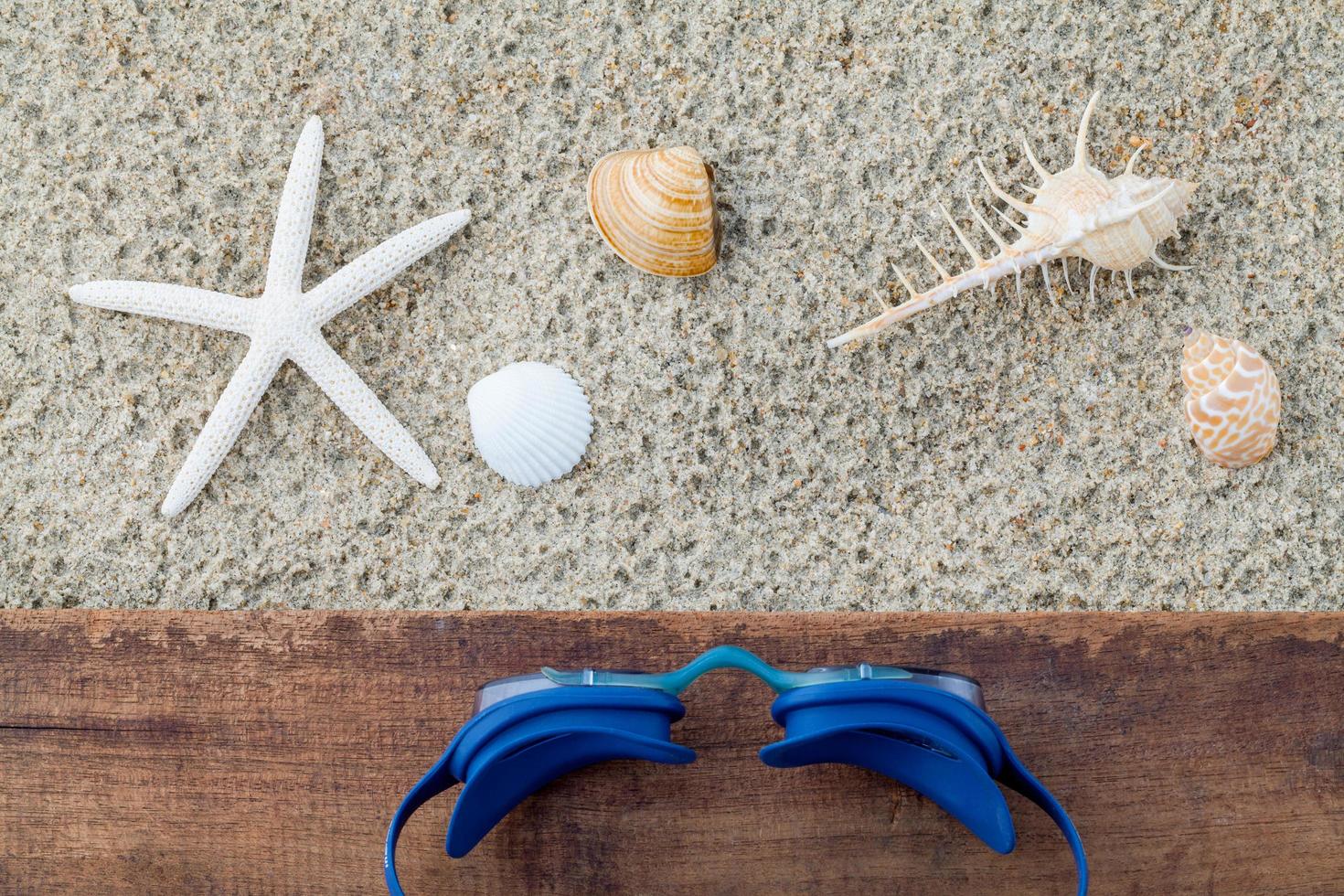 Swimming goggles and shells photo