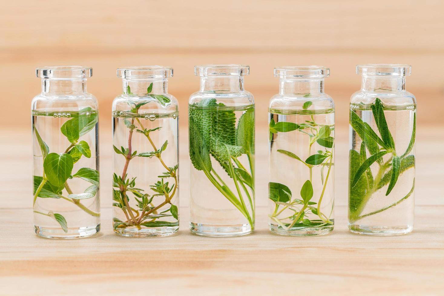 Fresh herbs for essential oils in bottles photo